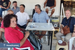 Λευκοτοπος0